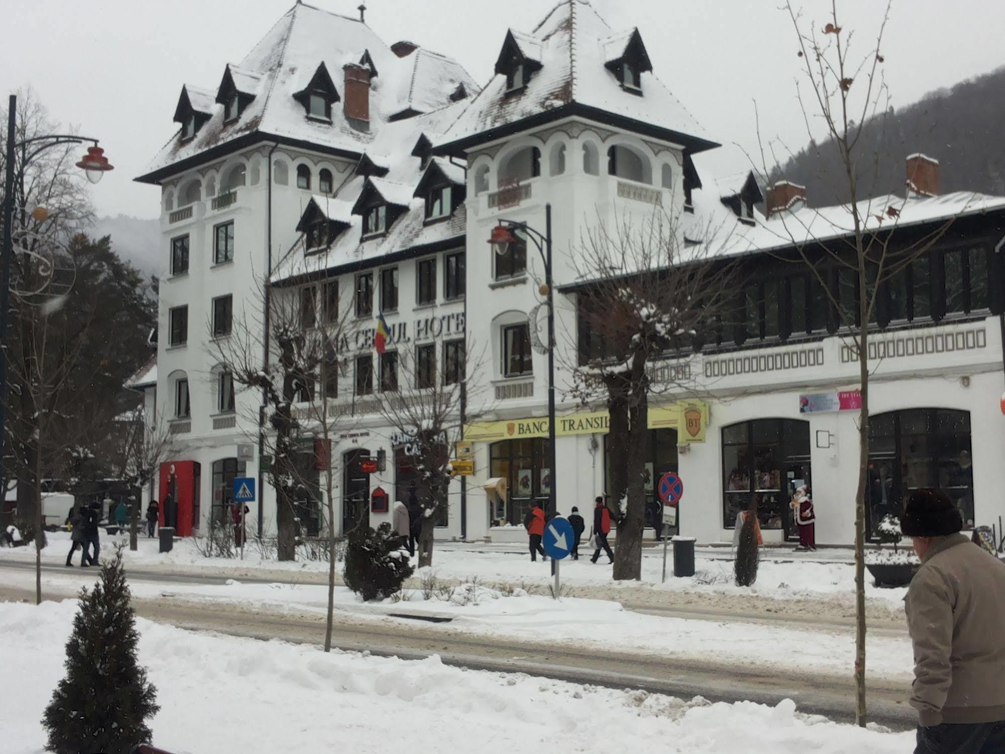 Hotel Rina Cerbul Sinaia Ngoại thất bức ảnh